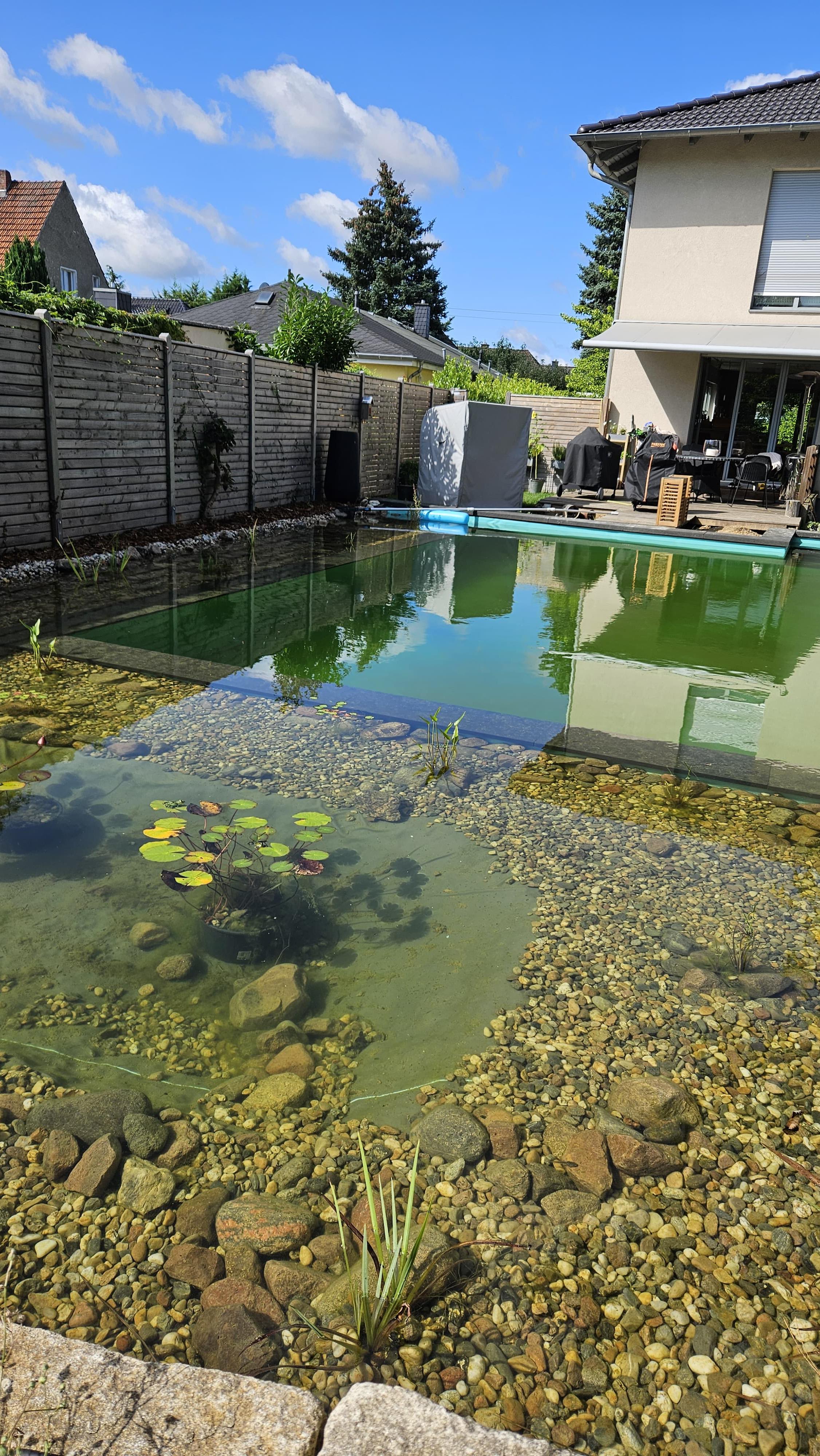 So sieht ein gemauerter Schwimmteich mit massiver Badefläche und eleganter Einstiegstreppe aus 💦
Hochwertige Folie, klar strukturierter Bereich – perfekt zum Schwimmen und Entspannen.
Swipe, um den Vorher-Nachher-Effekt zu sehen.

#schwimmteich #gartenteich #swimmingpool #beforeafter #vorhernachhertransformation